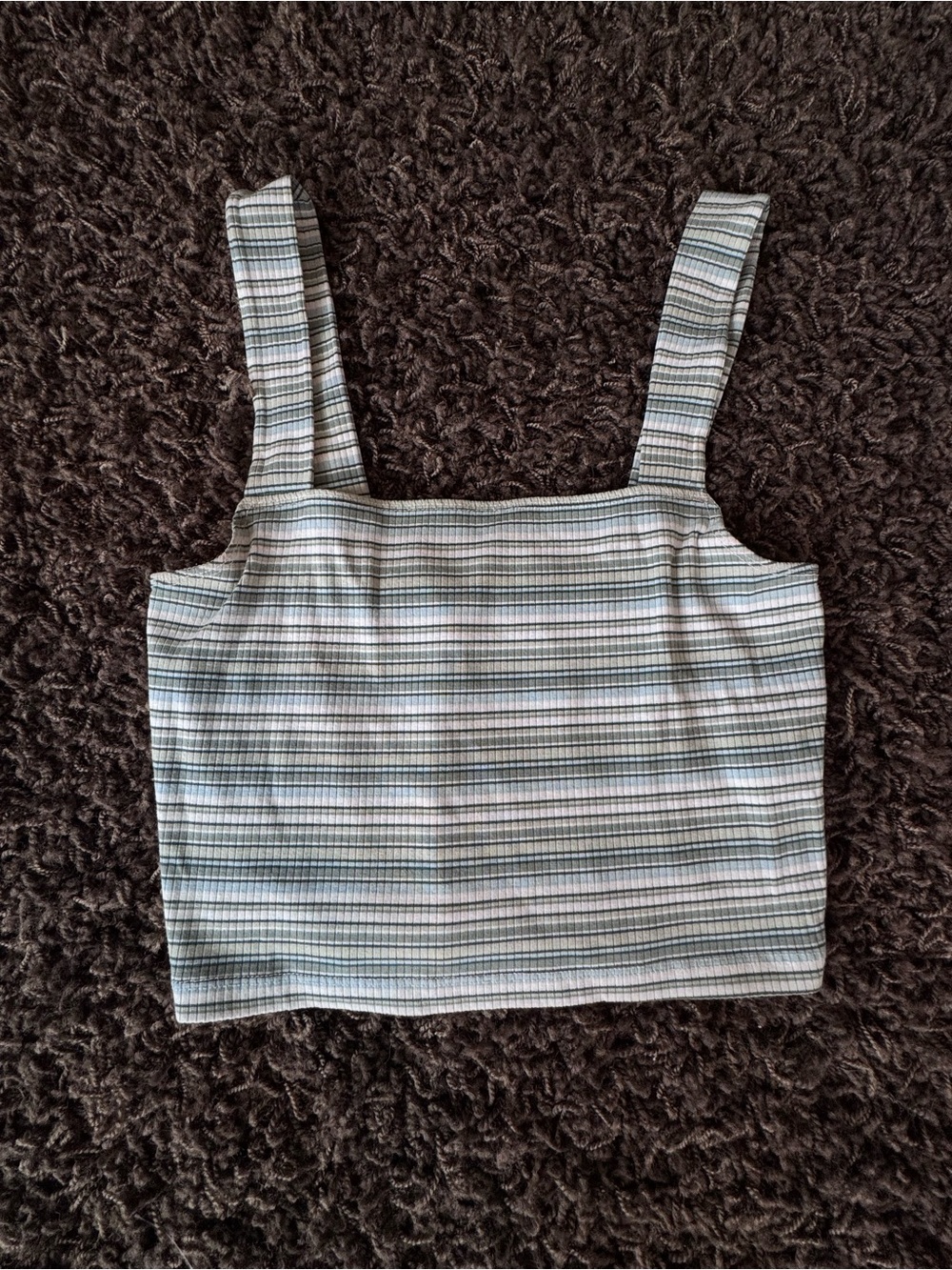 American Eagle Outfitters Light Blue and White Striped Crop Tank